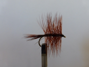 Size 10 Palmer Brown 